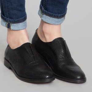 NIB Anthology Paris Brogues